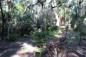 The bird watching area at the Jekyll Island campground. More campgrounds should have these...VERY cool
